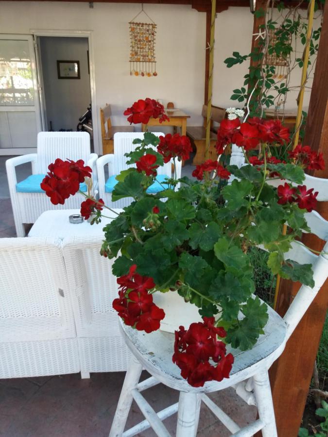 Alba Family Club Hotel Приморско Екстериор снимка