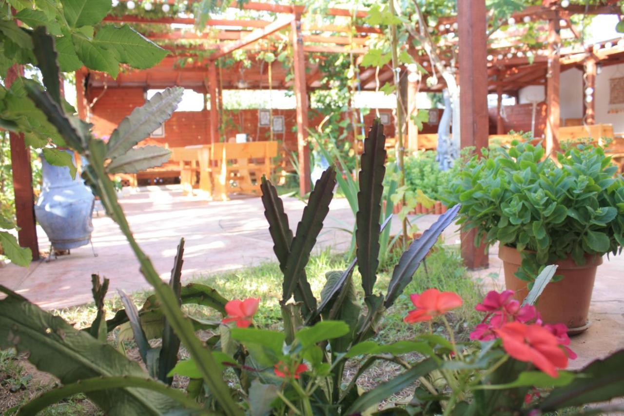 Alba Family Club Hotel Приморско Екстериор снимка